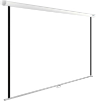 

Проекционный экран Cactus, CS-PSWE-240X180-WT