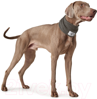 Шарф для животных HUNTER Scarf Nancy 78см / 66806 (серый)