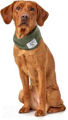 Шарф для животных HUNTER Scarf Nancy 78см / 66805 (зеленый)