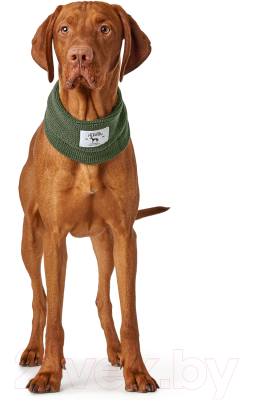 Шарф для животных HUNTER Scarf Nancy 78см / 66805 (зеленый)