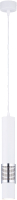 

Потолочный светильник Rilon Lighting, Technical Light 2024CN SWT+CR