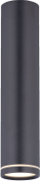 

Потолочный светильник Rilon Lighting, Technical Light 2027CN-C SBK