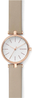 Часы наручные женские Skagen SKW2643 - 