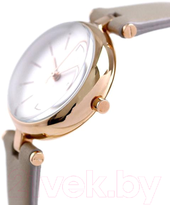 Часы наручные женские Skagen SKW2643