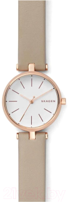 Часы наручные женские Skagen SKW2643