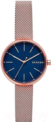 Часы наручные женские Skagen SKW2593