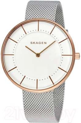 Часы наручные женские Skagen SKW2583