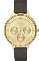 

Часы наручные женские Skagen, SKW2393