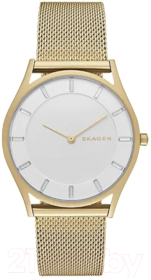 Часы наручные женские Skagen SKW2377