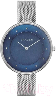 Часы наручные женские Skagen SKW2293