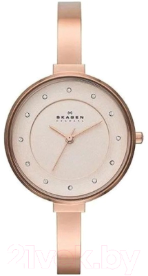 Часы наручные женские Skagen SKW2230