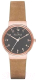 Часы наручные женские Skagen SKW2189 - 