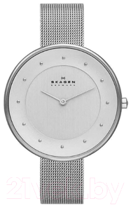 Часы наручные женские Skagen SKW2140