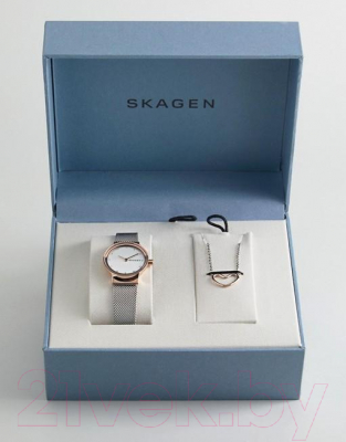 Часы наручные женские Skagen SKW1101