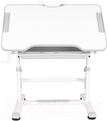 Парта+стул Anatomica Litra с ящиком и подставкой (белый/серый)