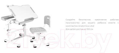 Парта+стул Anatomica Litra с ящиком и подставкой (белый/серый)