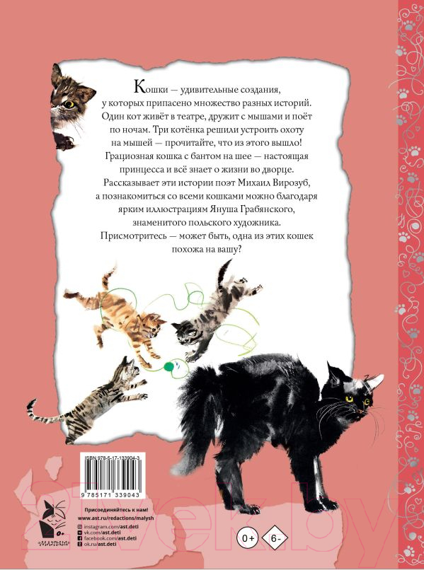 Художественная книга АСТ Удивительные кошачьи истории (Грабянский Я.) — фото 2