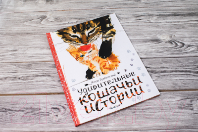 Книга АСТ Удивительные кошачьи истории (Грабянский Я.)