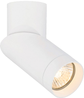 

Светильник Rilon Lighting, Technical Light HDL-7060/AL-GU-WH WH