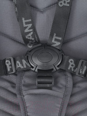 Изображение товара Детская прогулочная коляска Rant Flex / RA084 (Cloud Pink)