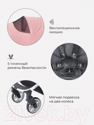 Изображение товара Детская прогулочная коляска Rant Flex / RA084 (Cloud Pink)