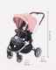 Миниатюра изображения товара Детская прогулочная коляска Rant Flex / RA084 (Cloud Pink)