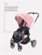 Миниатюра изображения товара Детская прогулочная коляска Rant Flex / RA084 (Cloud Pink)