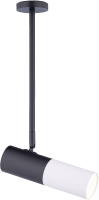

Спот Rilon Lighting, Technical Light 542RT SBK+SWT