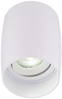

Светильник Rilon Lighting, Technical Light 2051CN SWT