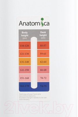 Парта Anatomica Premium Granda Plus (белый/голубой)
