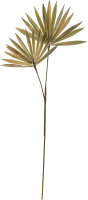 Искусственное растение Вещицы Пальмовая ветка aj-203 - 