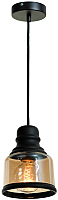 Потолочный светильник Lussole Loft LSP-9688 - 