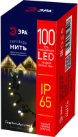 

Светодиодная гирлянда, ERAPS-NK10 / Б0051888
