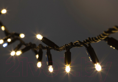 Изображение товара Светодиодная гирлянда ЭРА ERAPS-NK3 / Б0051886