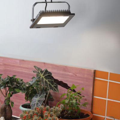 Лампа для растений ЭРА FITO-50W-Ra90-LED / Б0047875