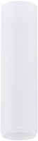

Потолочный светильник Rilon Lighting, Technical Light 1417B SWT