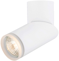 

Светильник Rilon Lighting, Technical Light HDL-7060/PC-GU-WH WH