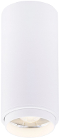 

Потолочный светильник Rilon Lighting, Technical Light 046MZ SWT