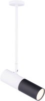 

Спот Rilon Lighting, Technical Light 542RT SWT+SBK