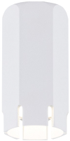 

Светильник Rilon Lighting, Technical Light 2067CN SWT