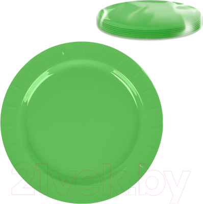 Набор одноразовых тарелок Plastic Republic Grill Party / LF1048 12 544 (6шт)