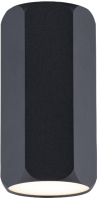 

Светильник Rilon Lighting, Technical Light 2119CN SBK