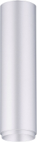

Потолочный светильник Rilon Lighting, Technical Light 1417B SSV