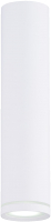 

Потолочный светильник Rilon Lighting, Technical Light 2027CN-C SWT