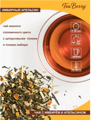 Чай листовой Tea Berry Имбирный апельсин зеленый / 95211698 (100г)