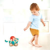 

Развивающий игровой набор, Игривый котенок / E0366_HP