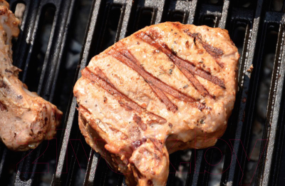 Изображение товара Решетка для мангала Литком РГ-6 Сибирячка