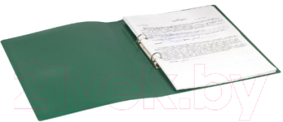 Изображение товара Папка для бумаг Staff 225719 (зеленый)