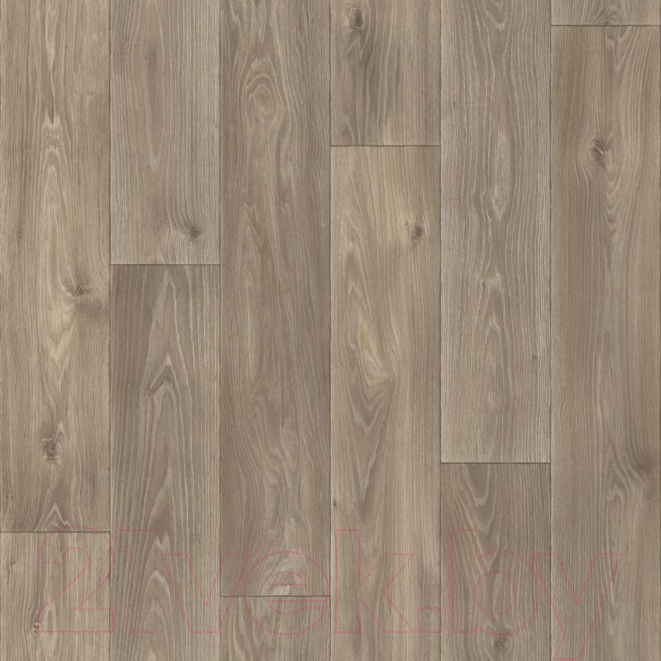 Линолеум Sinteros Комфорт Спенсер 5 (3.5x6.5м)