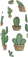 Балансборд FREEDOM Oval Cactuses - 